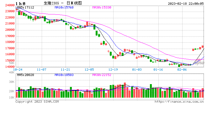 Mysteel解读：猪价连涨 背后推手是谁